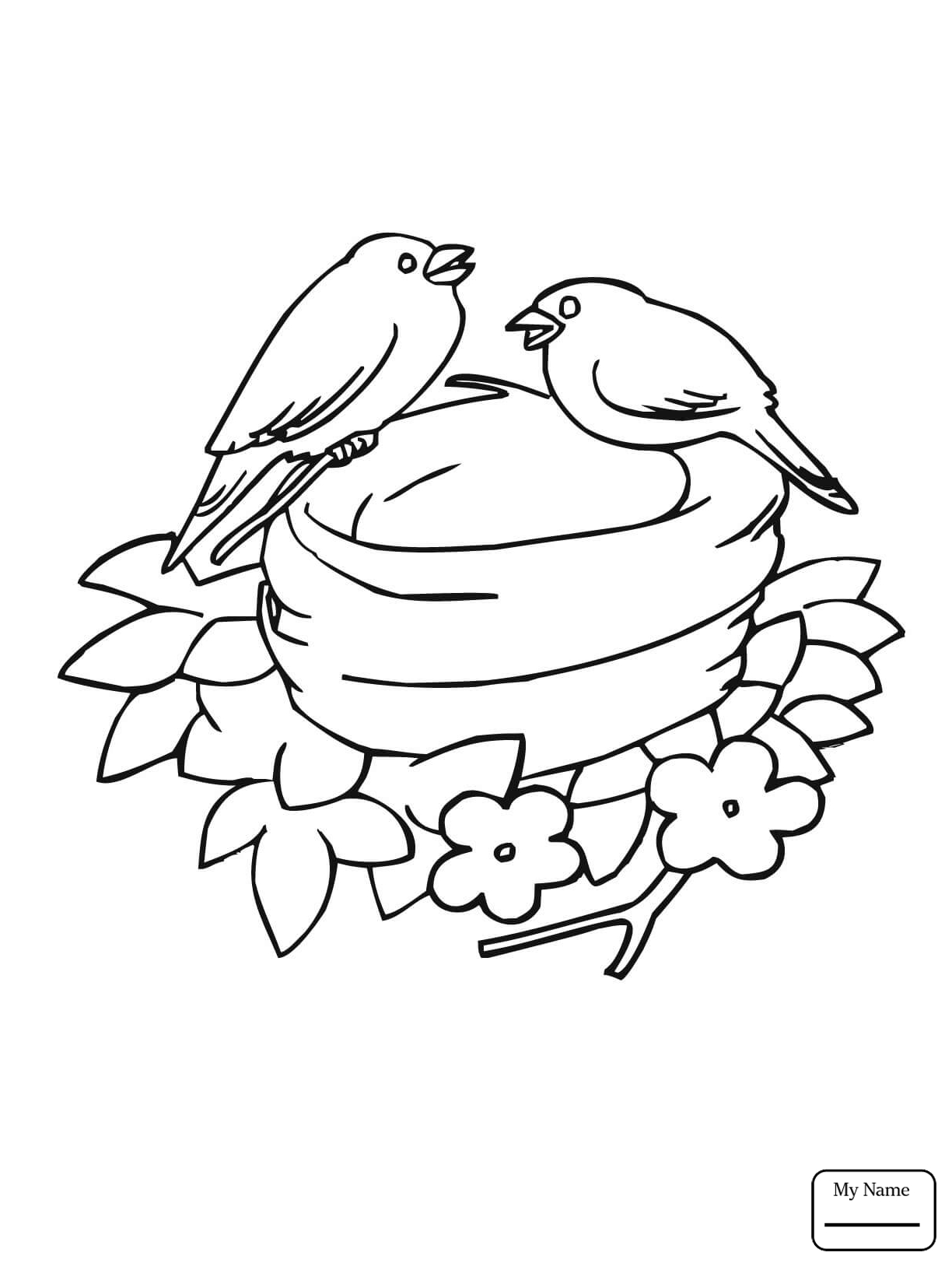 168 Bluebird Coloring Pages Printable 47