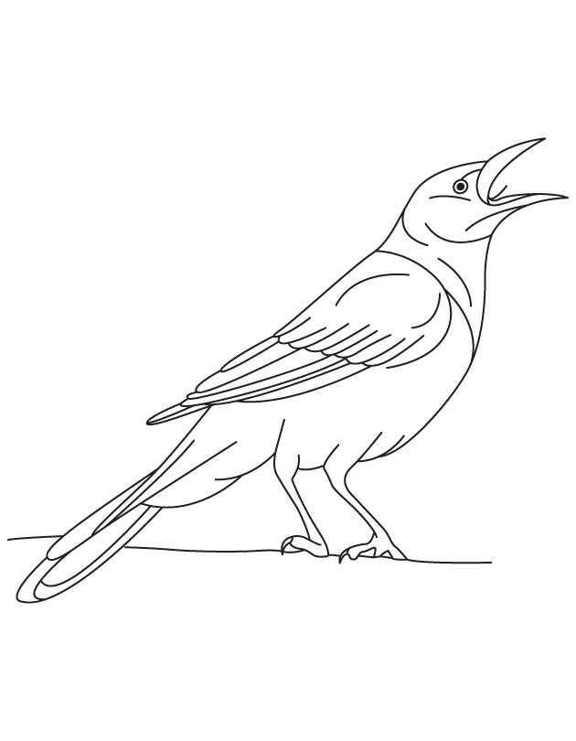 168 Bluebird Coloring Pages Printable 49