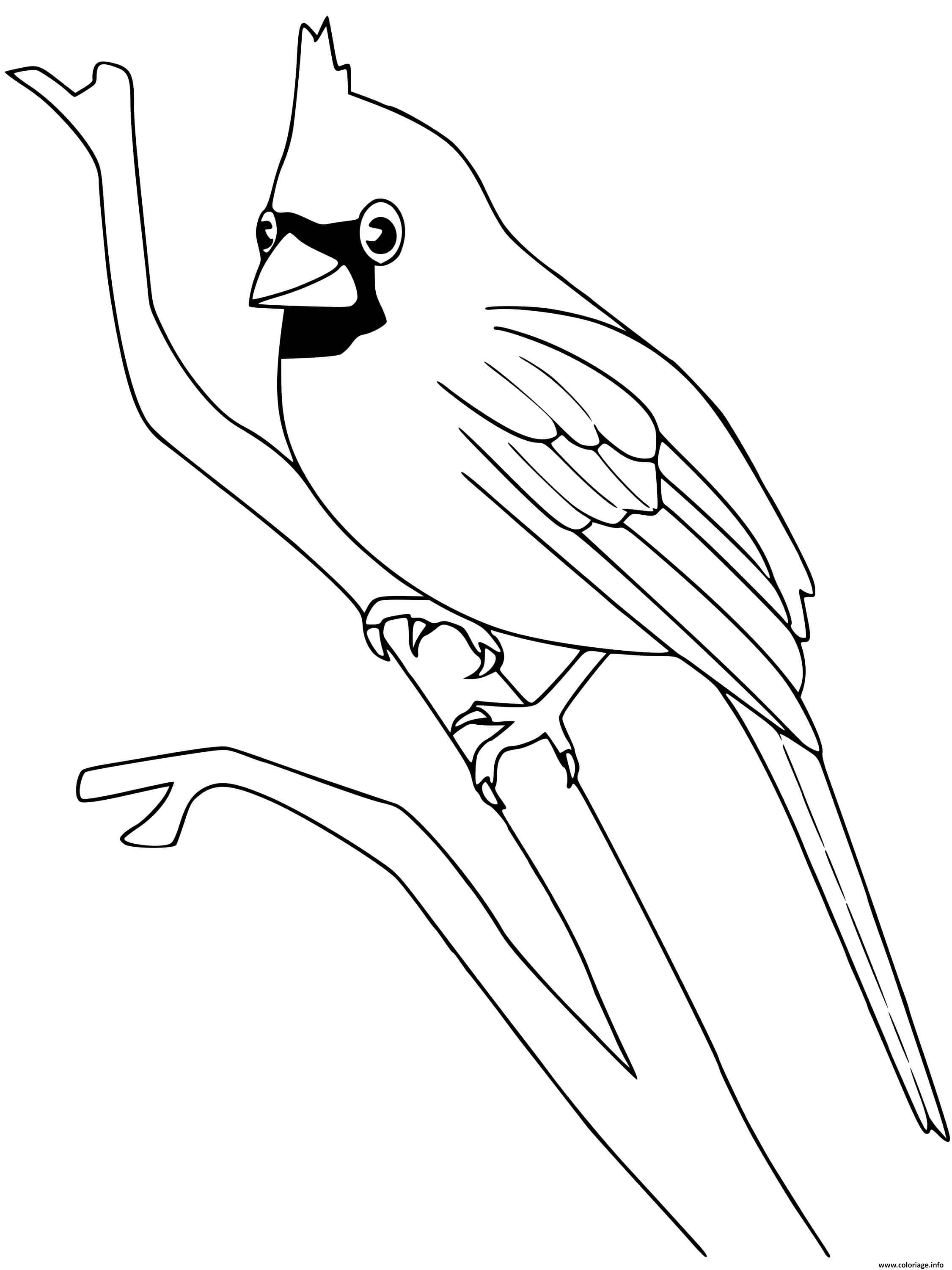 168 Bluebird Coloring Pages Printable 50