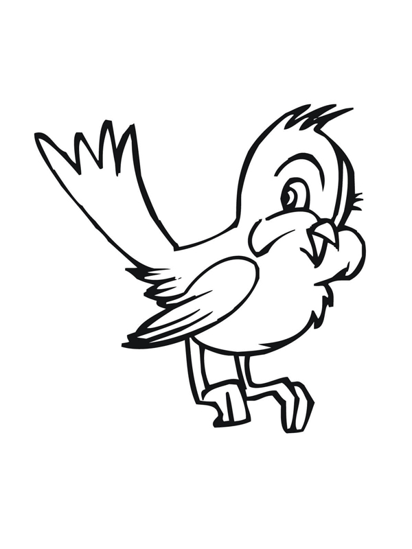 168 Bluebird Coloring Pages Printable 51