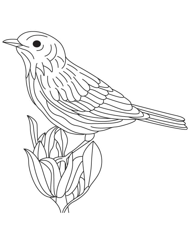 168 Bluebird Coloring Pages Printable 54