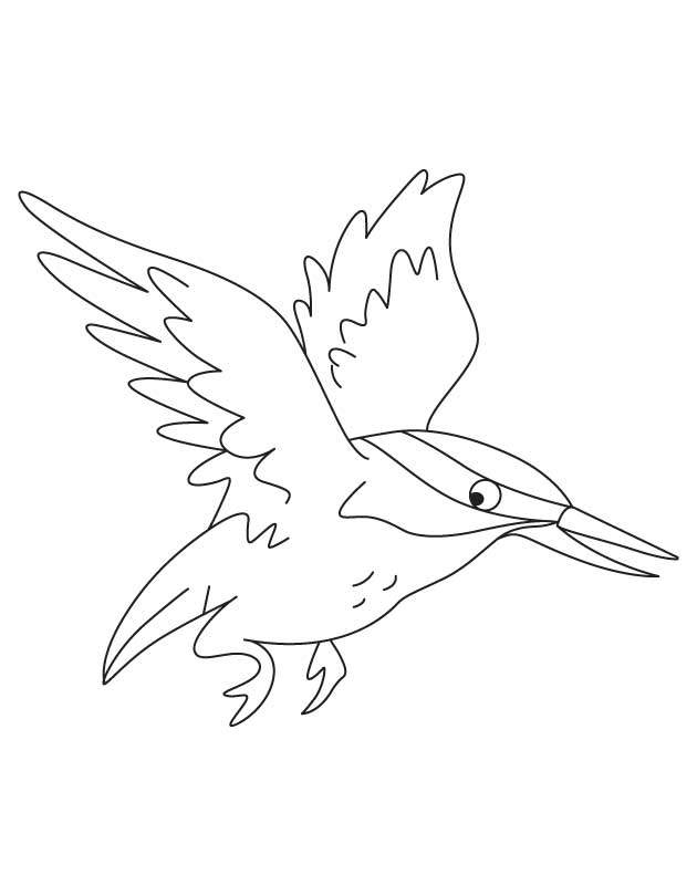 168 Bluebird Coloring Pages Printable 59