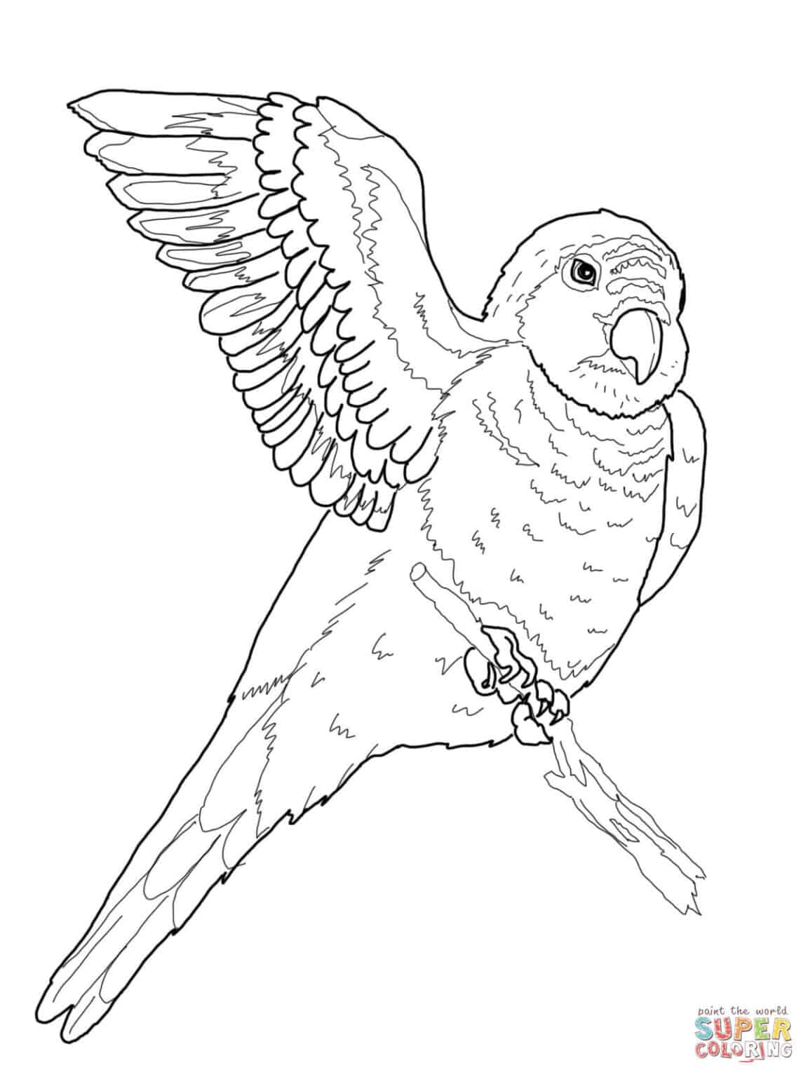 168 Bluebird Coloring Pages Printable 63