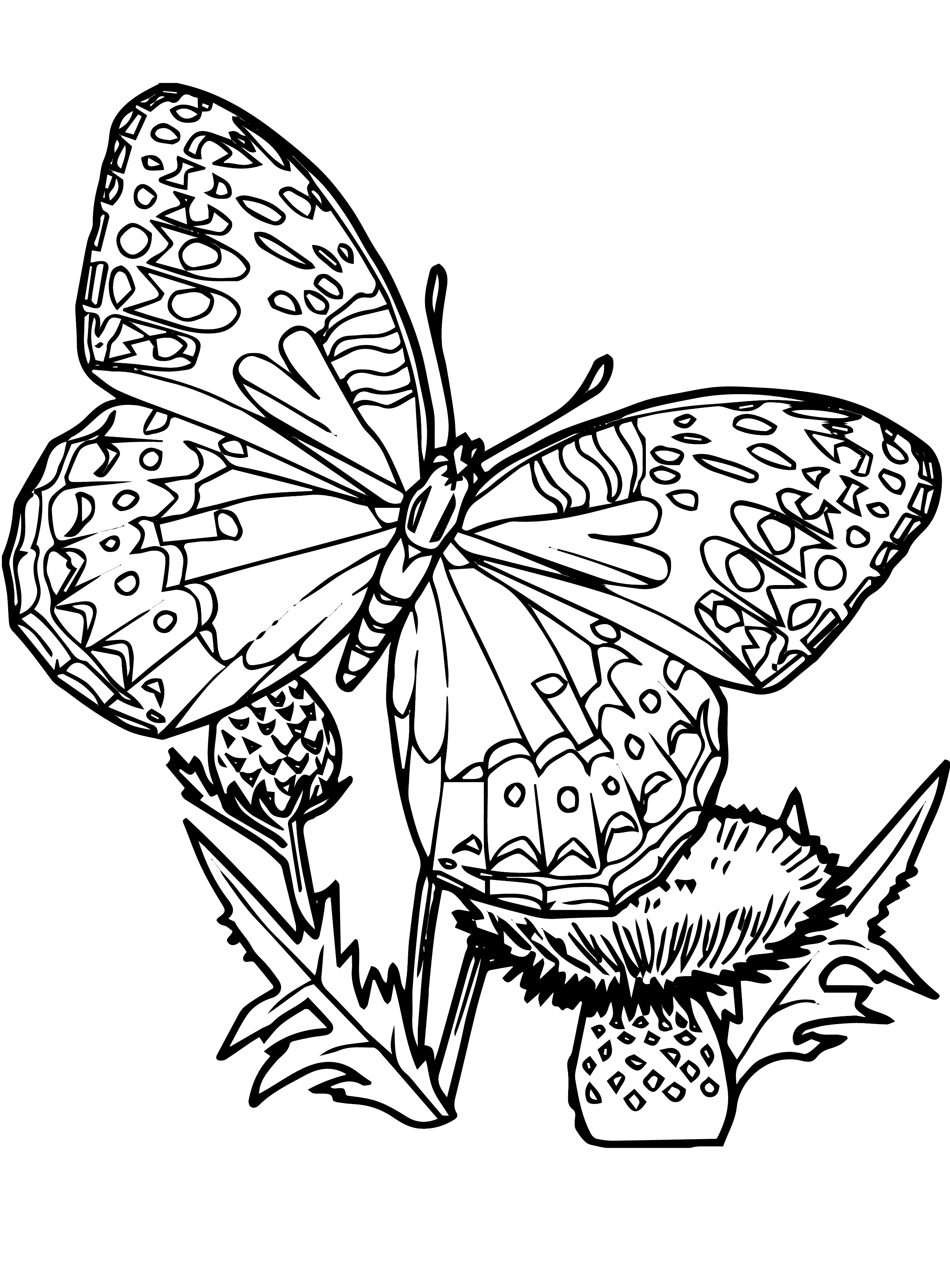 168 Bluebird Coloring Pages Printable 64