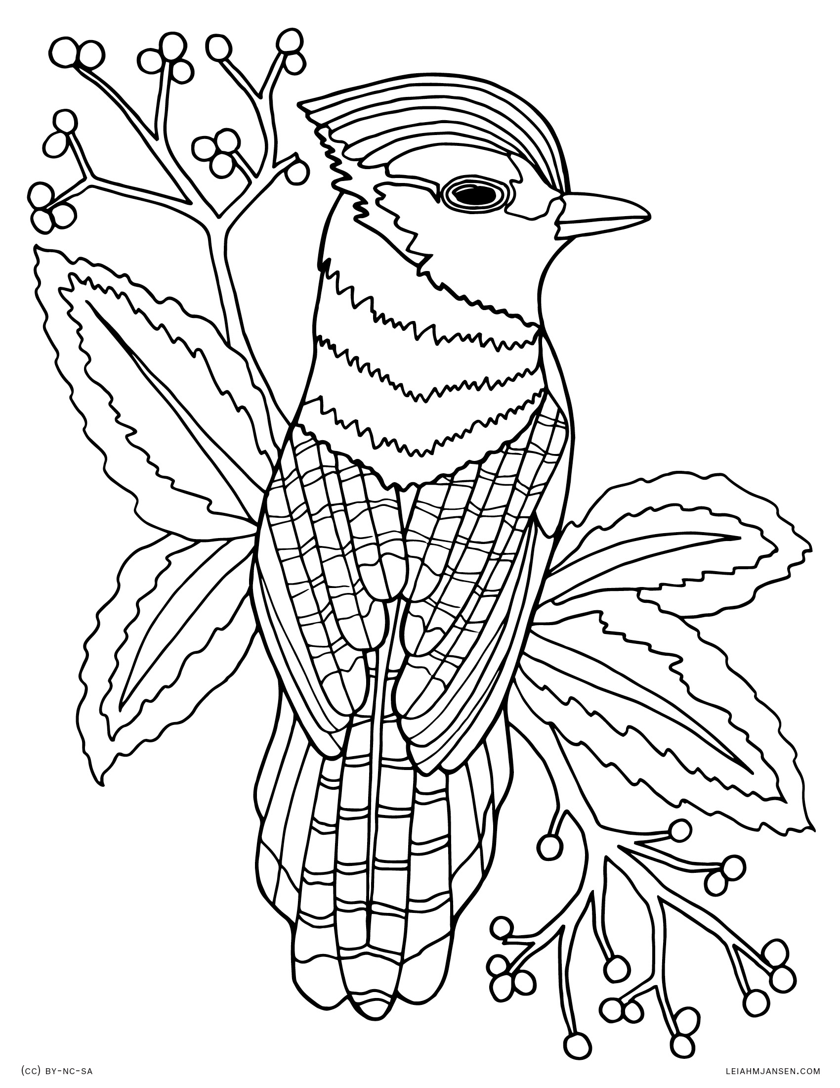 168 Bluebird Coloring Pages Printable 70