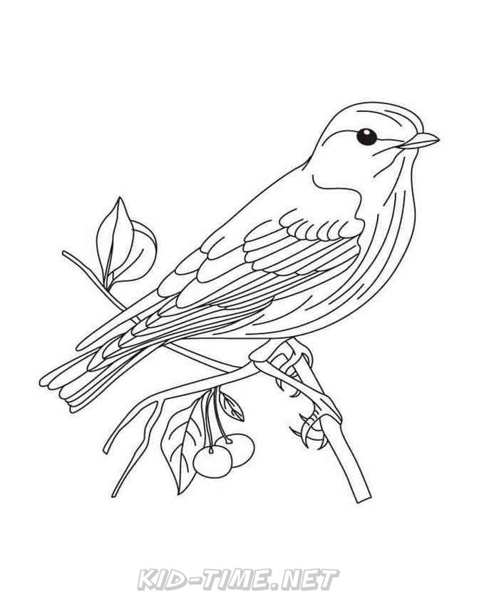 168 Bluebird Coloring Pages Printable 71