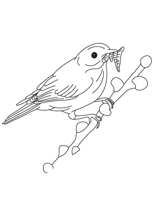 168 Bluebird Coloring Pages Printable 72