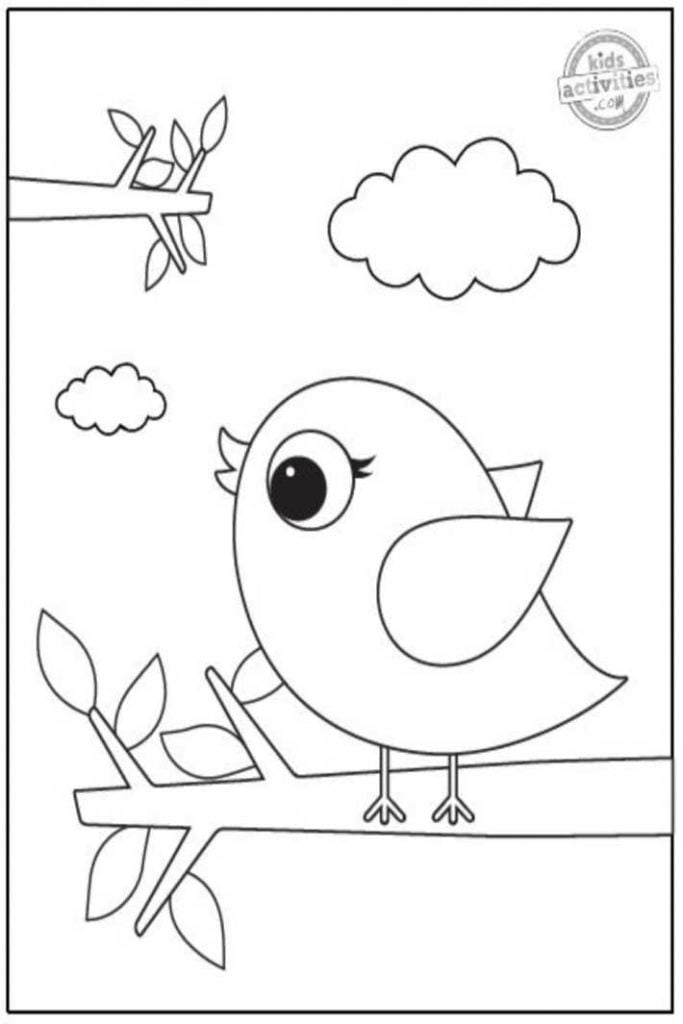 168 Bluebird Coloring Pages Printable 79