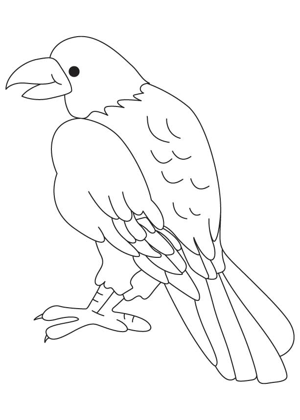 168 Bluebird Coloring Pages Printable 8