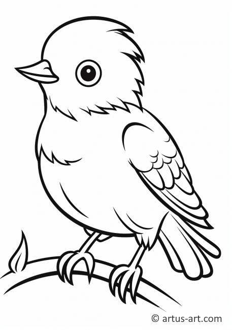 168 Bluebird Coloring Pages Printable 84