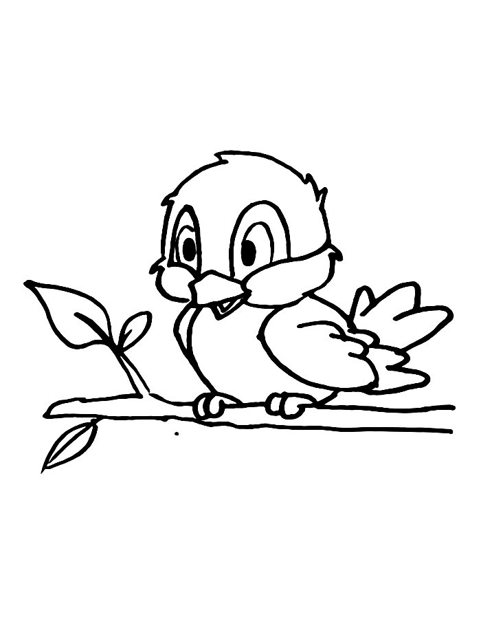 168 Bluebird Coloring Pages Printable 85