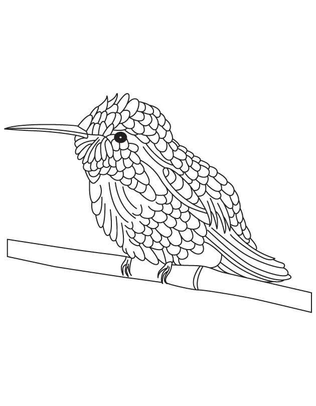 168 Bluebird Coloring Pages Printable 92