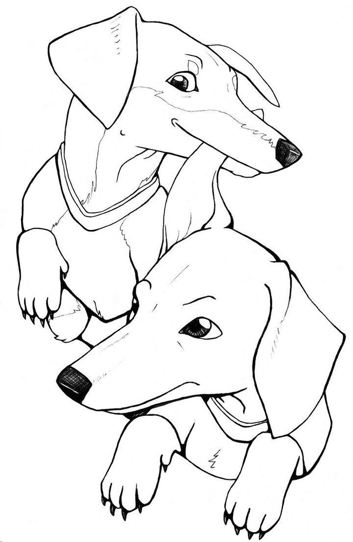 68 Free Dog Coloring Pages for Kids Printable 36