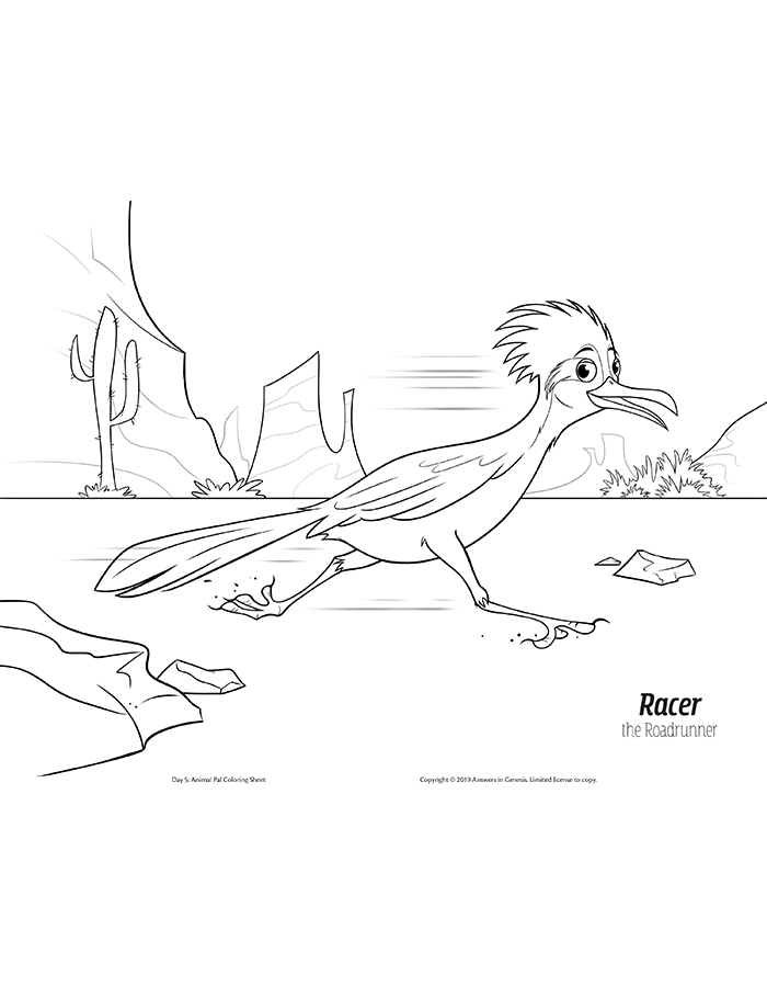 69 Road Runner Coloring Pages Printable 37