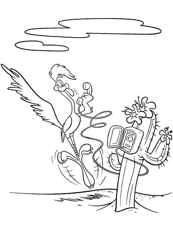 69 Road Runner Coloring Pages Printable 39