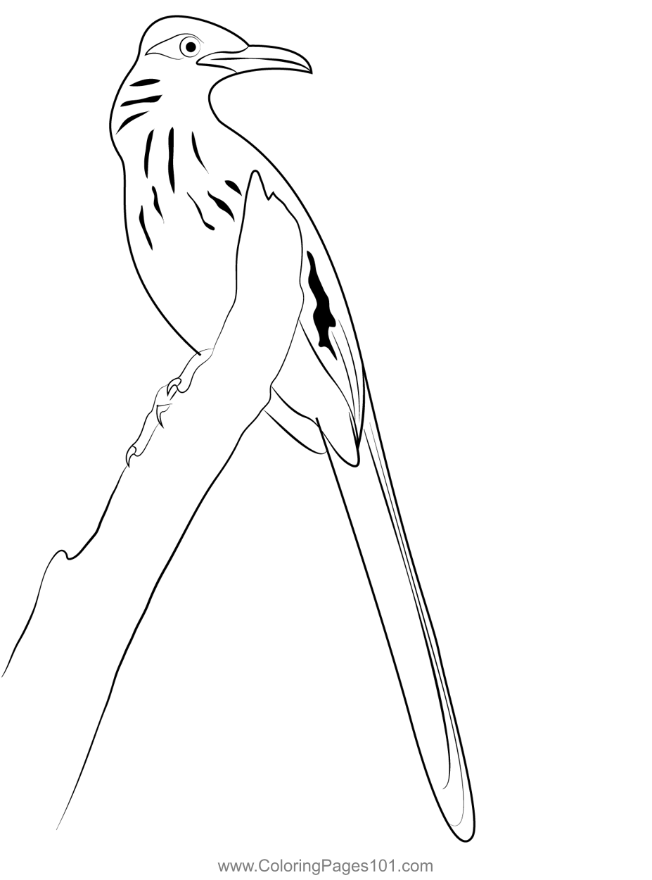 69 Road Runner Coloring Pages Printable 55