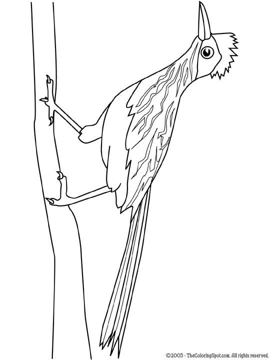 69 Road Runner Coloring Pages Printable 60