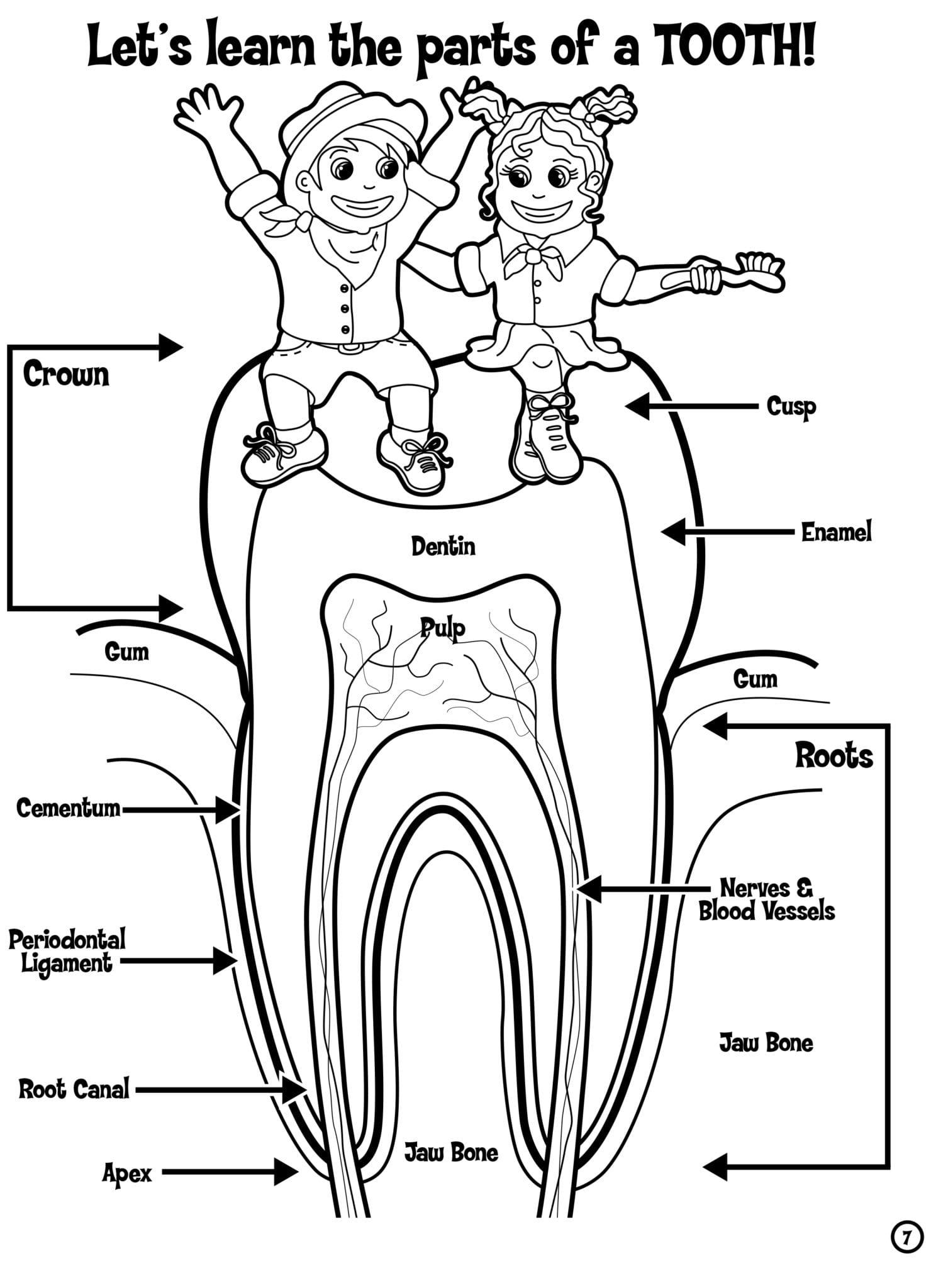 77 Dentist Coloring Pages Printable 46