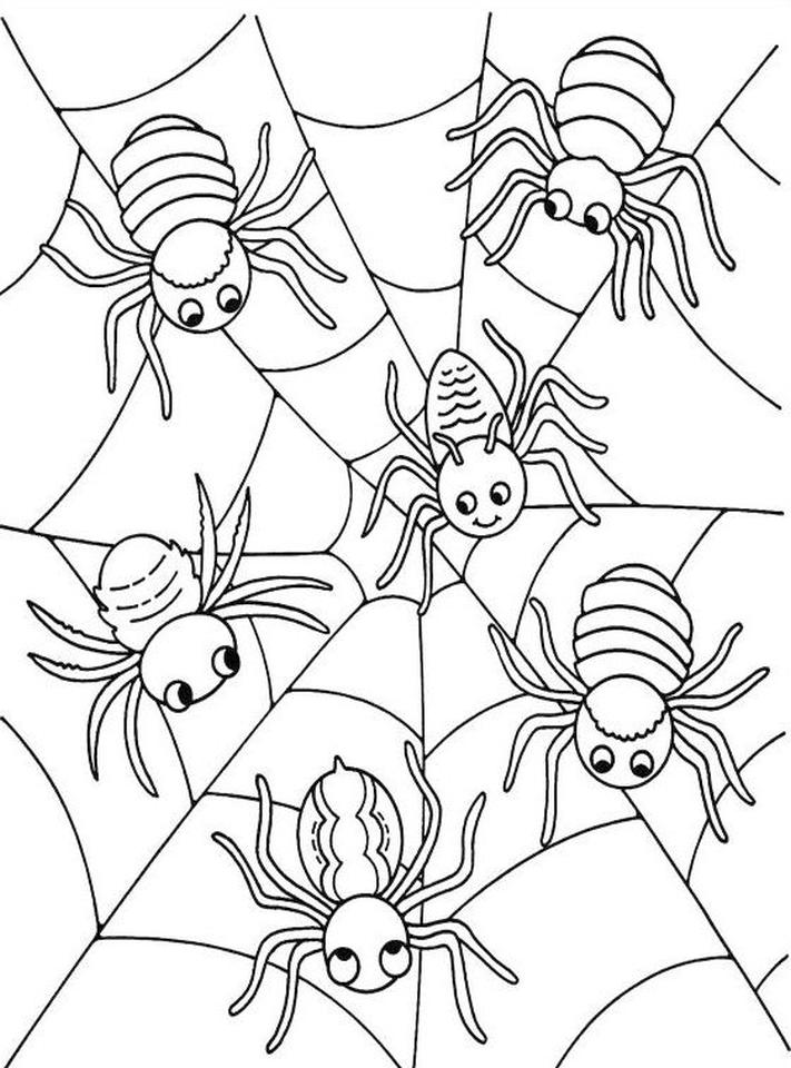 89 Printable Spider Coloring Pages for Kids 1