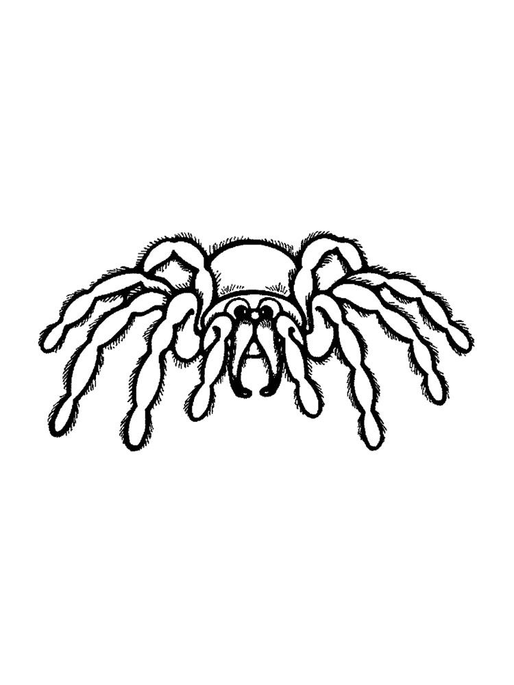 89 Printable Spider Coloring Pages for Kids 15