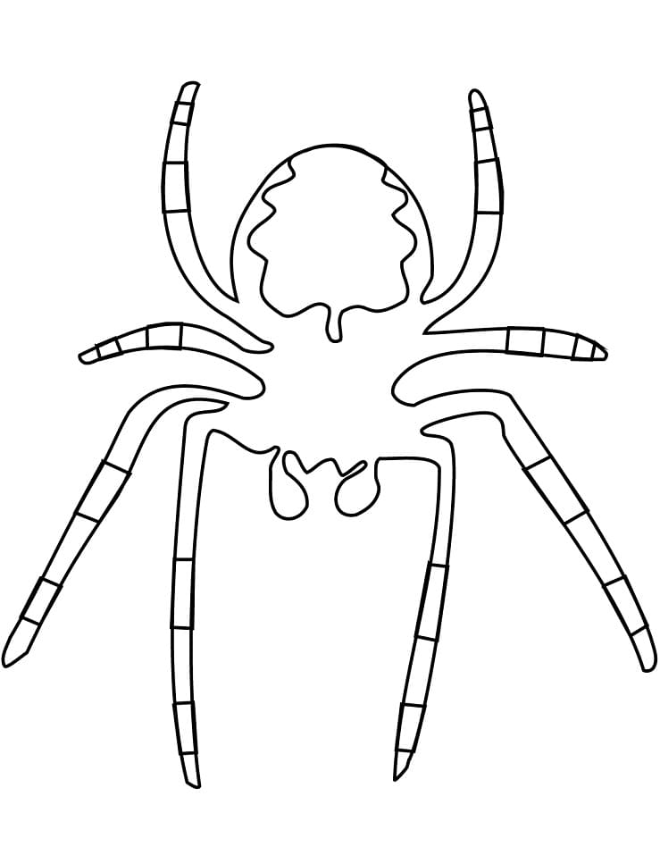 89 Printable Spider Coloring Pages for Kids 16