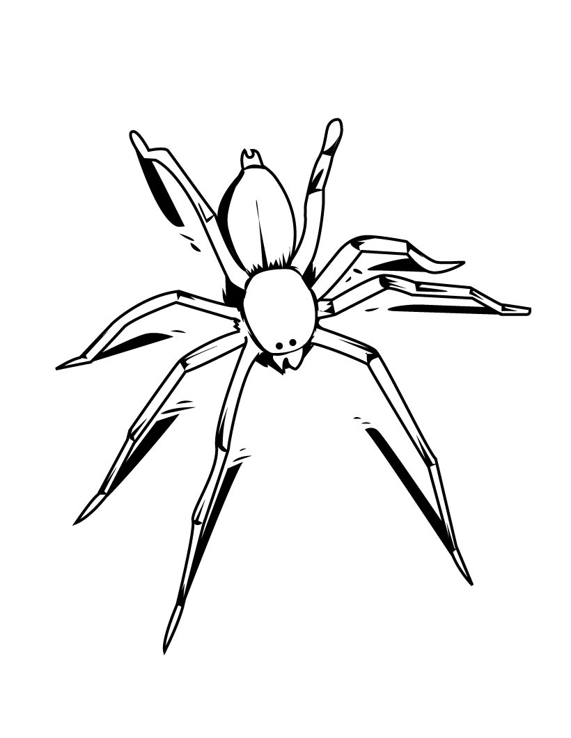 89 Printable Spider Coloring Pages for Kids 2