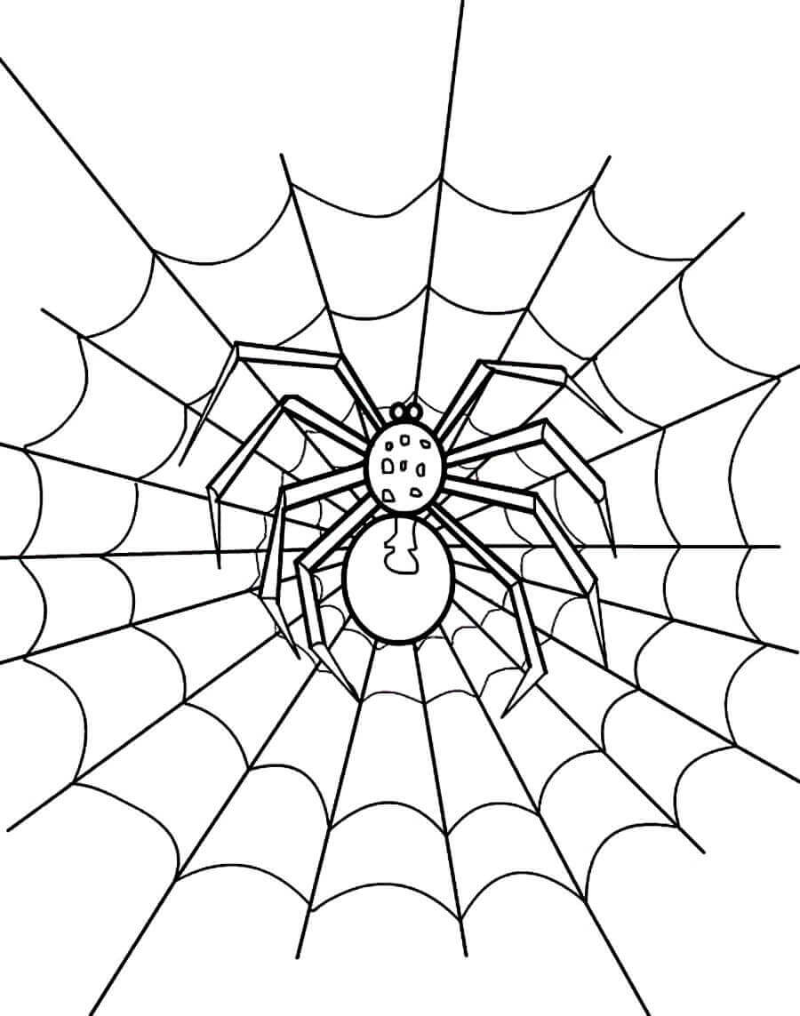 89 Printable Spider Coloring Pages for Kids 21