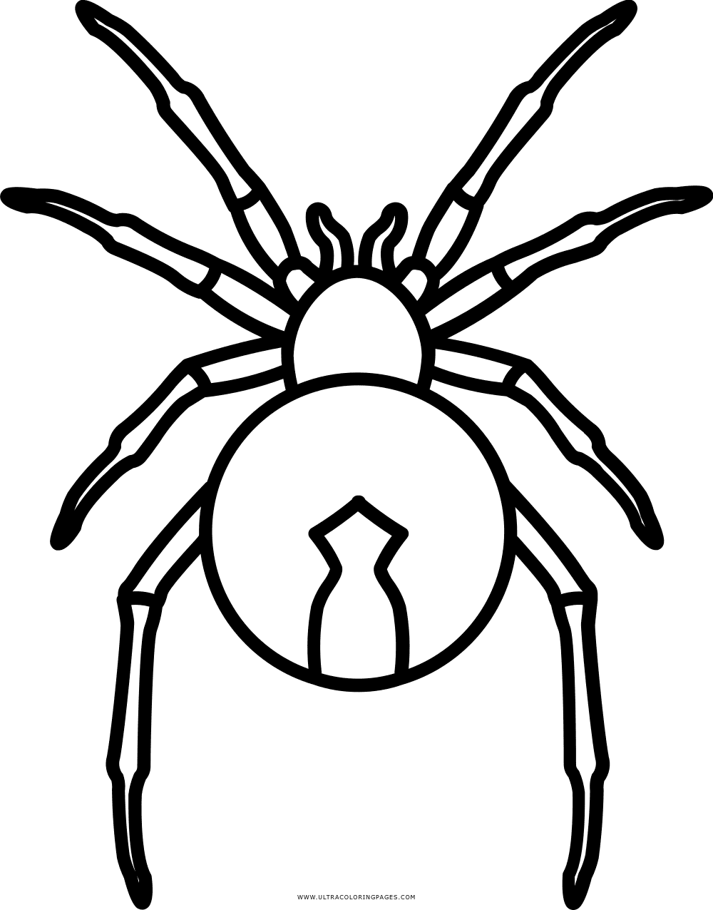 89 Printable Spider Coloring Pages for Kids 24