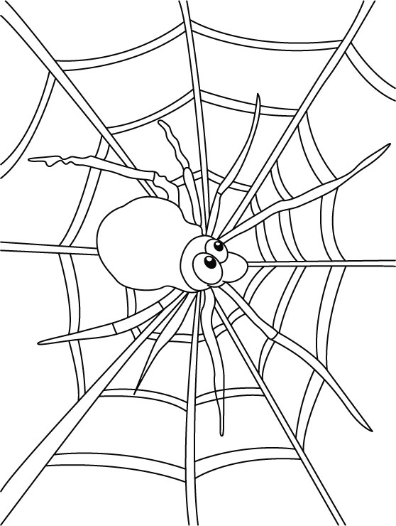 89 Printable Spider Coloring Pages for Kids 25