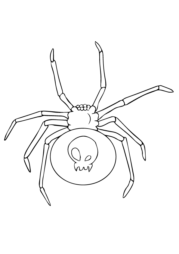 89 Printable Spider Coloring Pages for Kids 29