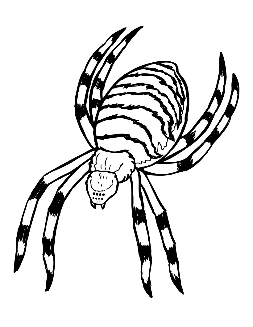 89 Printable Spider Coloring Pages for Kids 35