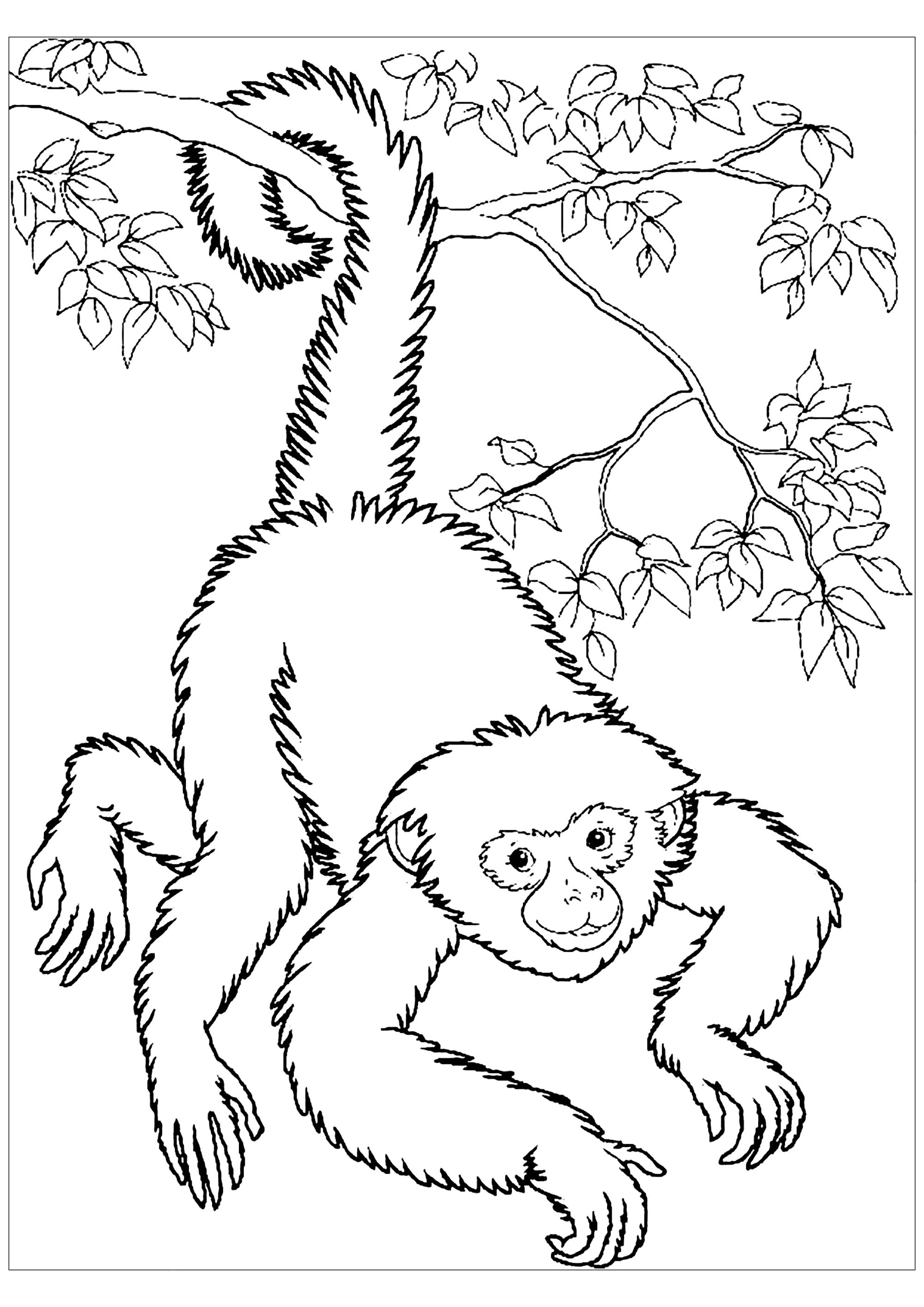 89 Printable Spider Coloring Pages for Kids 39