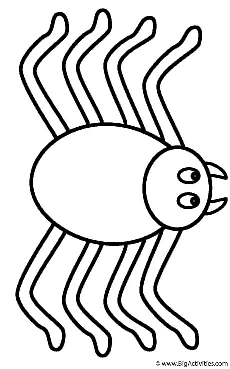 89 Printable Spider Coloring Pages for Kids 4