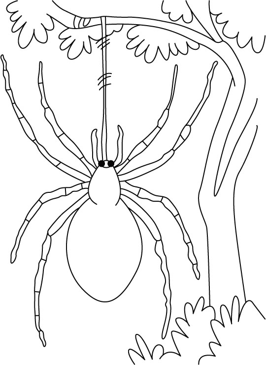 89 Printable Spider Coloring Pages for Kids 47