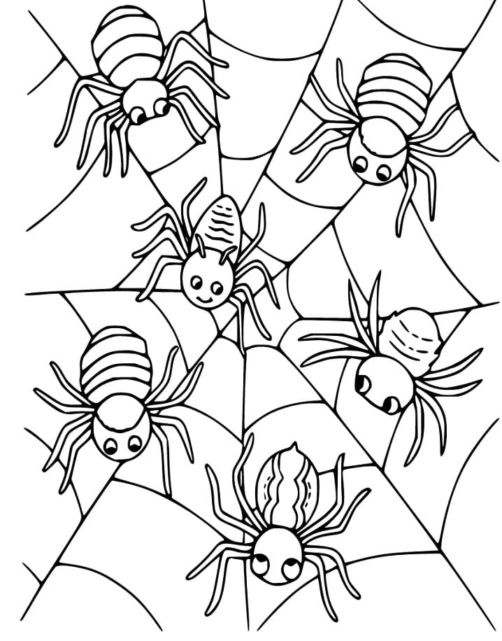 89 Printable Spider Coloring Pages for Kids 5