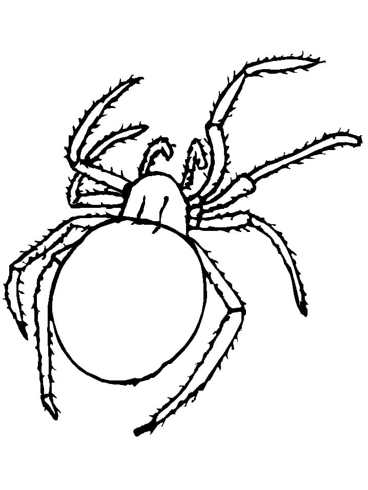 89 Printable Spider Coloring Pages for Kids 6