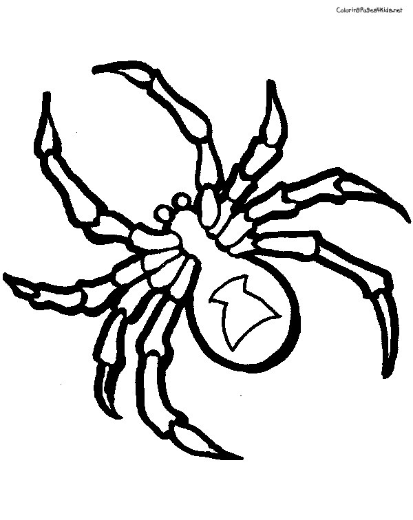 89 Printable Spider Coloring Pages for Kids 60