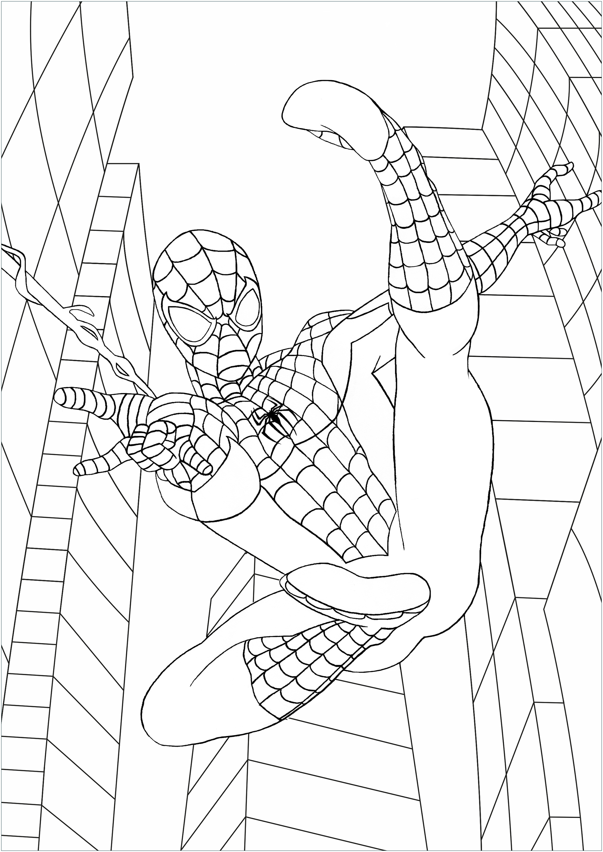 89 Printable Spider Coloring Pages for Kids 64