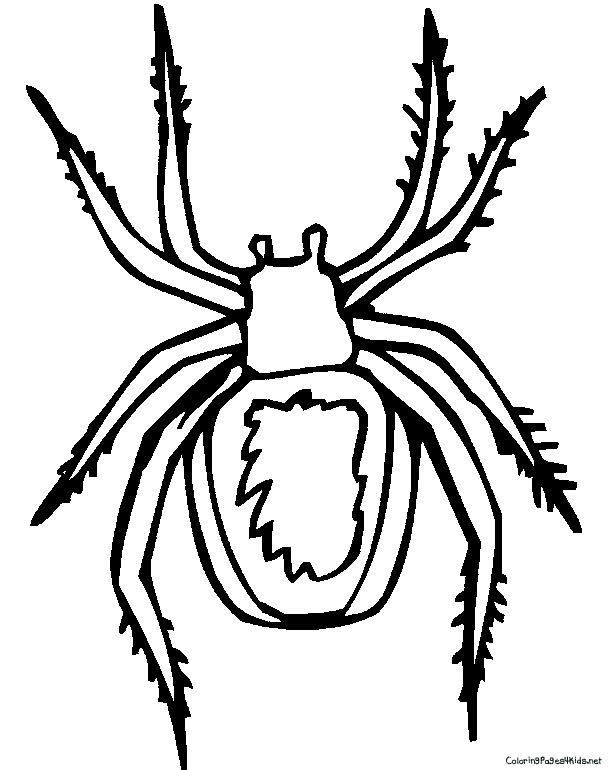 89 Printable Spider Coloring Pages for Kids 73