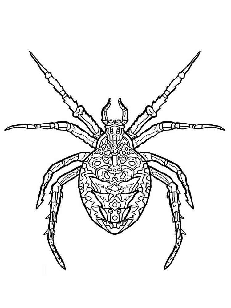 89 Printable Spider Coloring Pages for Kids 87