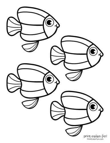 Colorful Fish Coloring Pages Printable 11