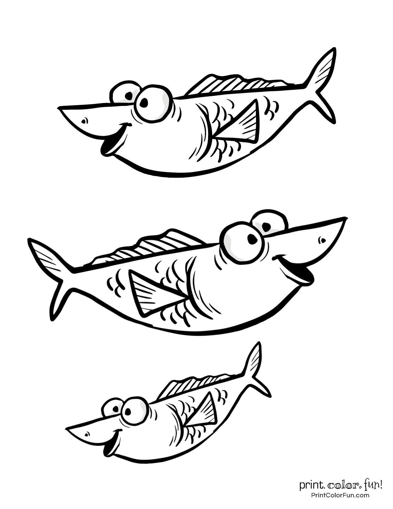 Colorful Fish Coloring Pages Printable 16