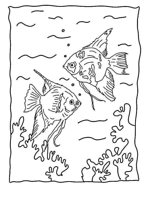 Colorful Fish Coloring Pages Printable 17