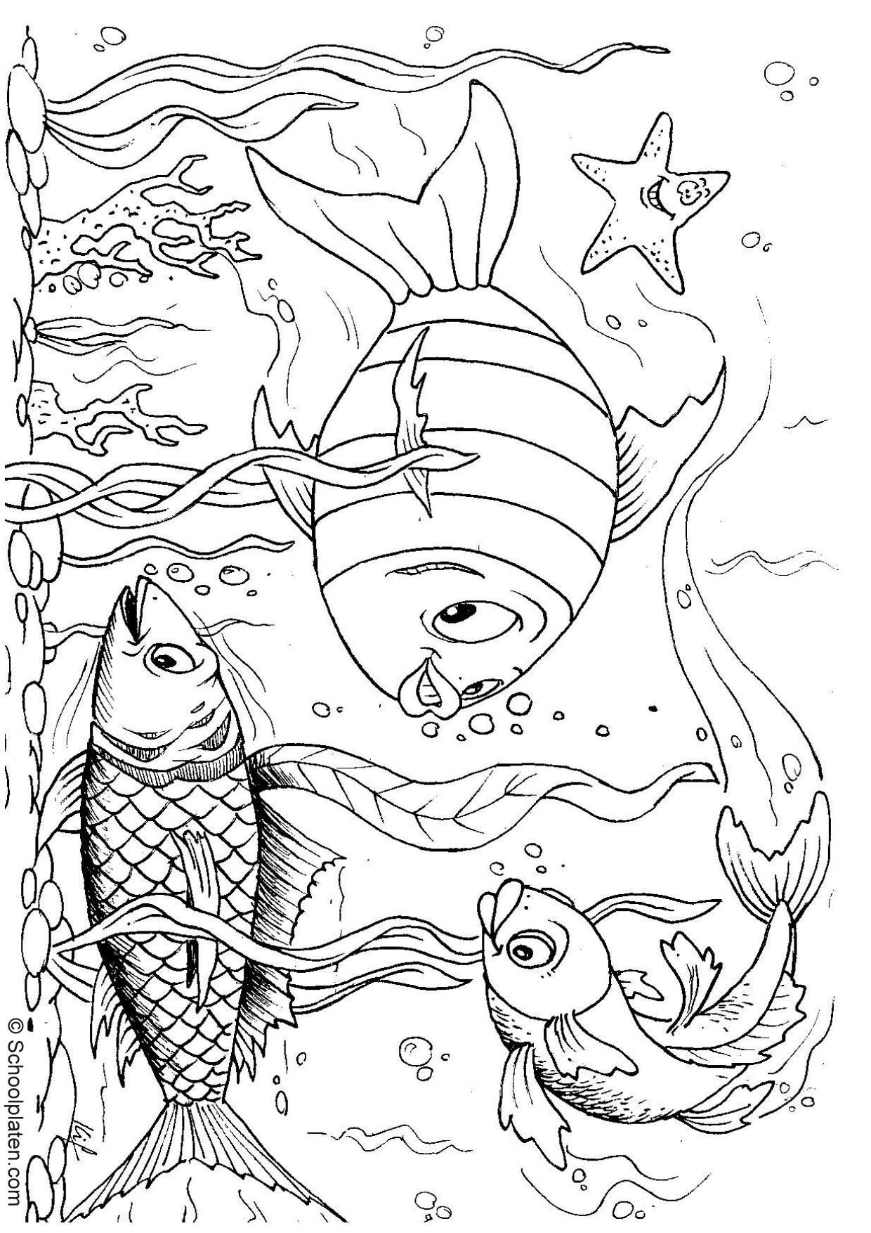 Colorful Fish Coloring Pages Printable 18