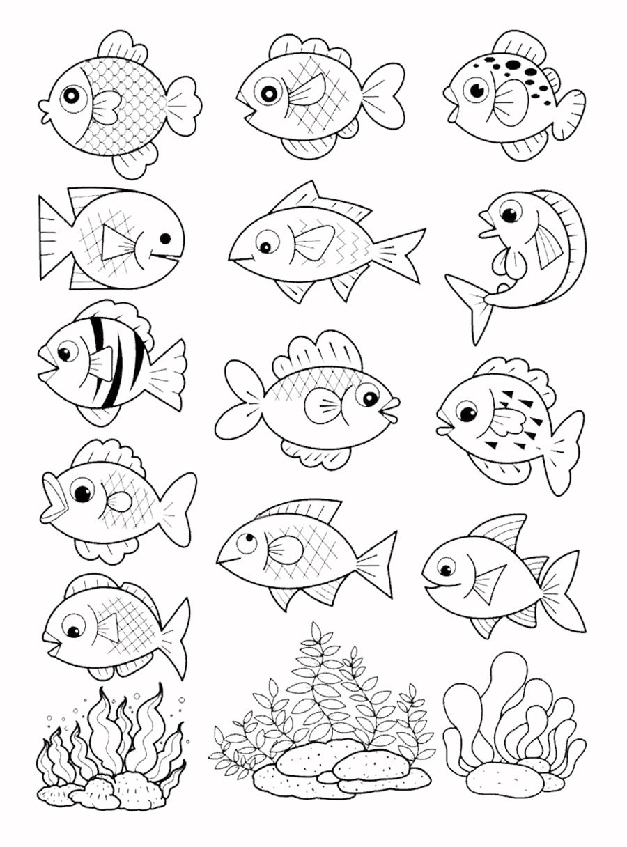 Colorful Fish Coloring Pages Printable 20