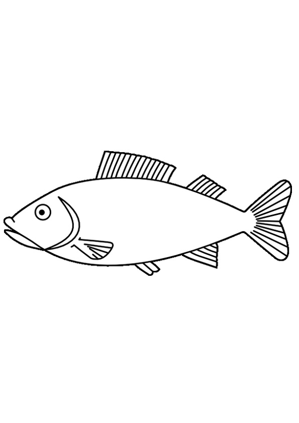 Colorful Fish Coloring Pages Printable 22