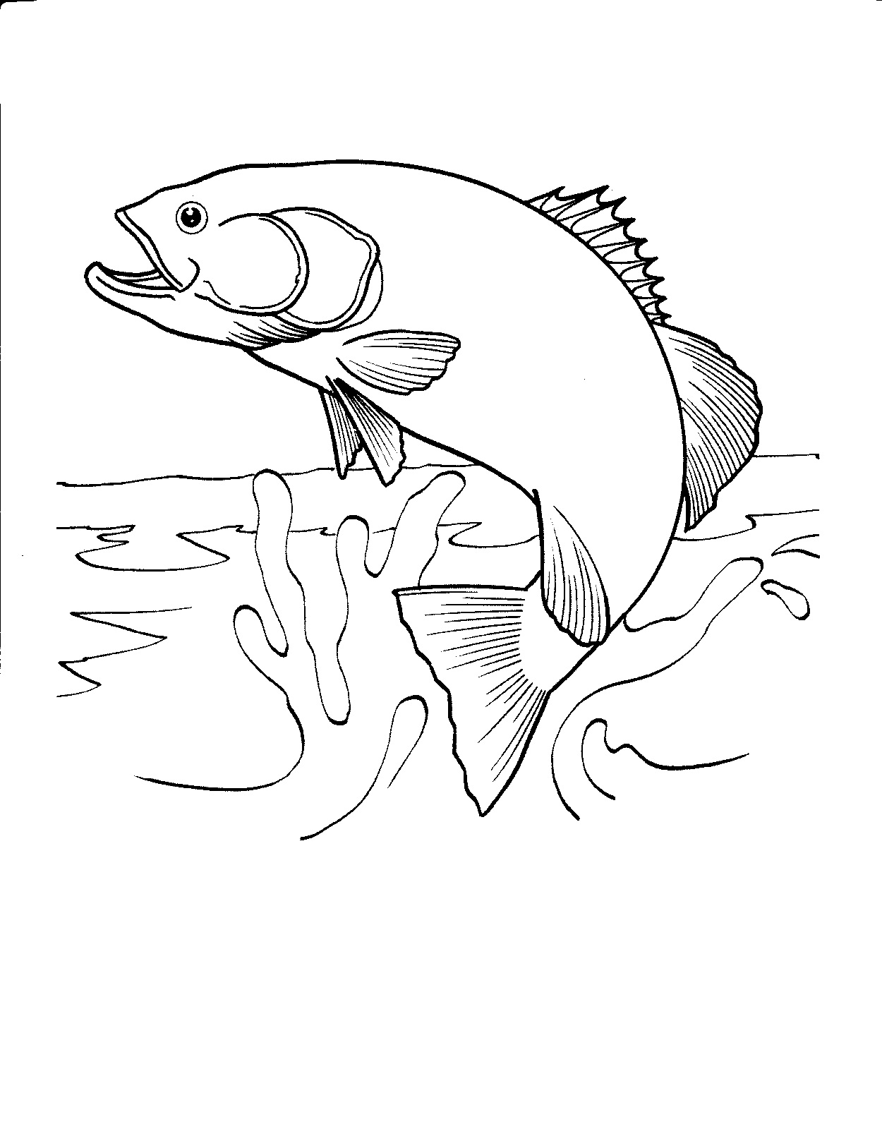 Colorful Fish Coloring Pages Printable 26