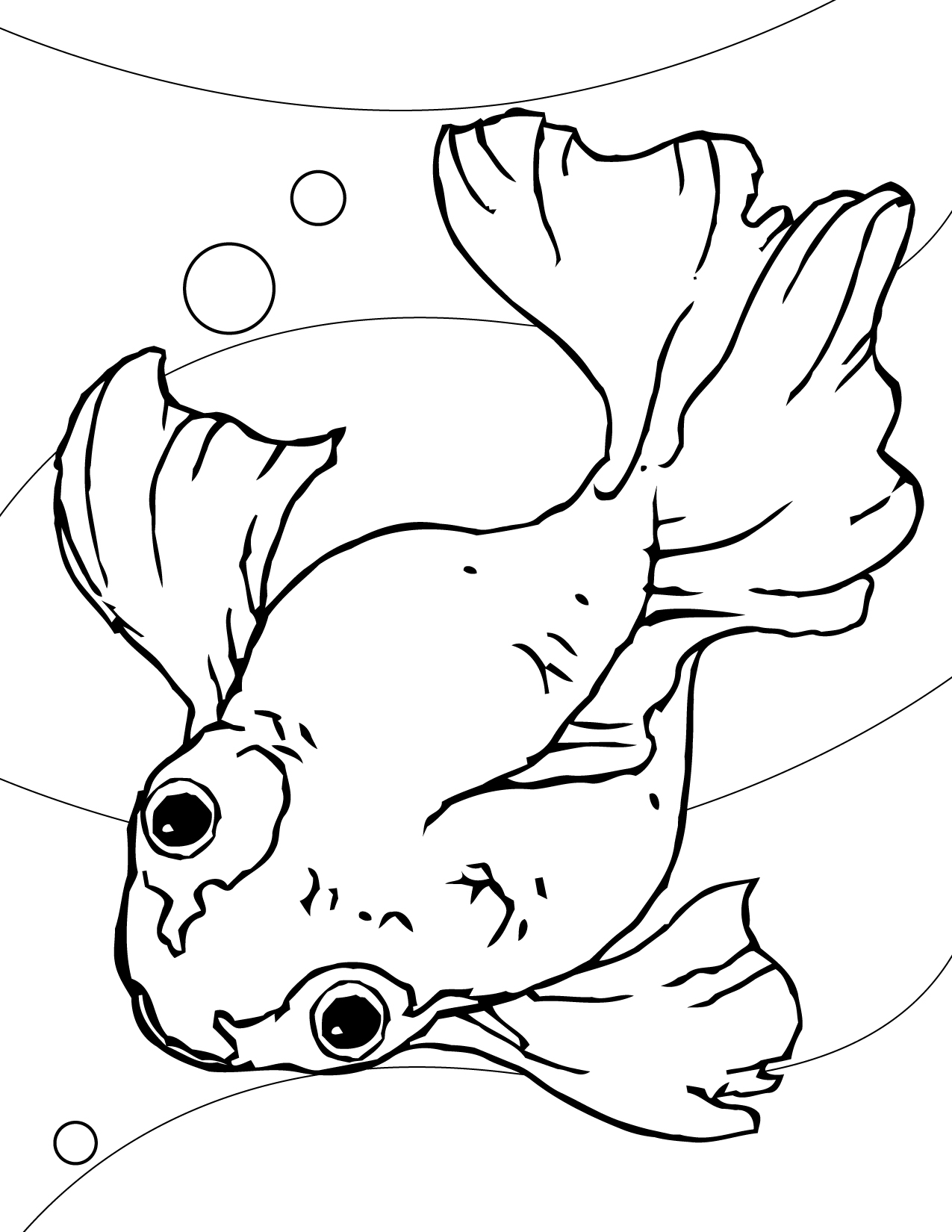 Colorful Fish Coloring Pages Printable 27