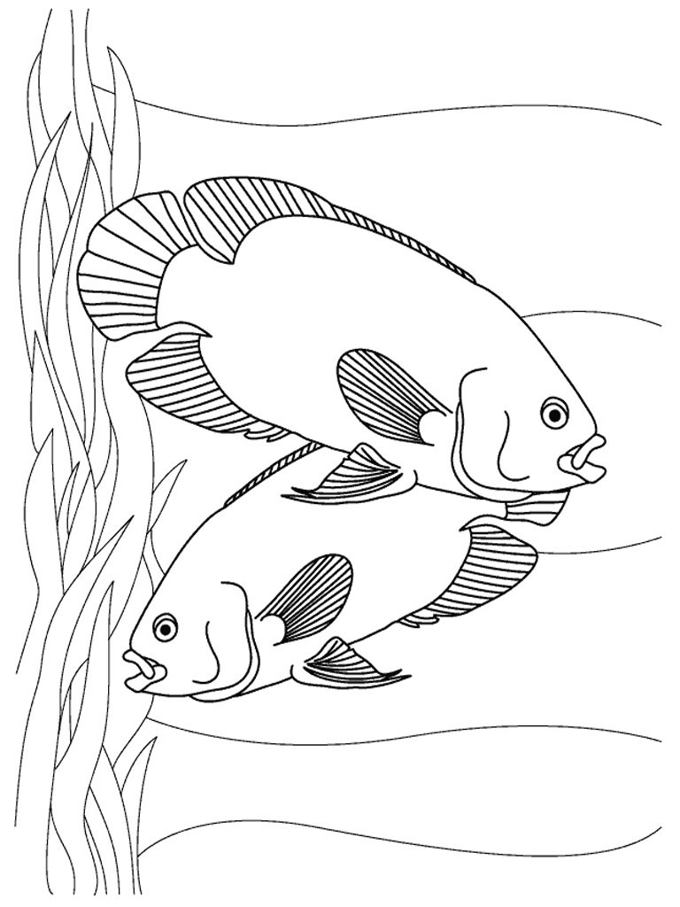 Colorful Fish Coloring Pages Printable 29