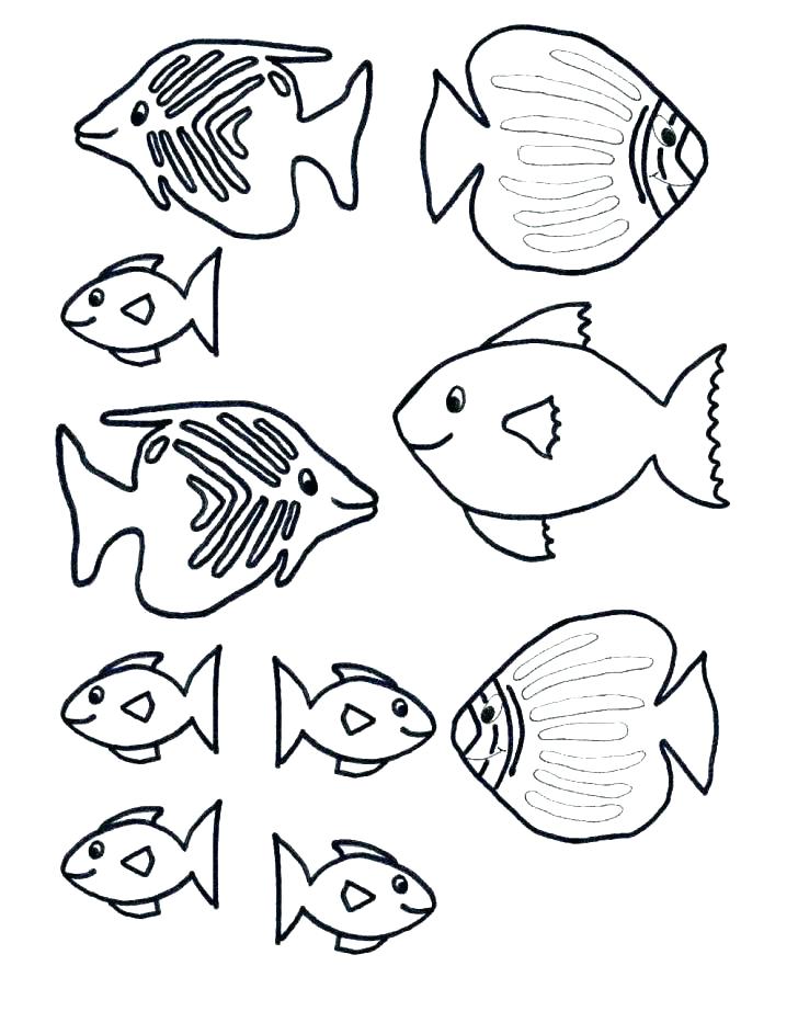 Colorful Fish Coloring Pages Printable 33